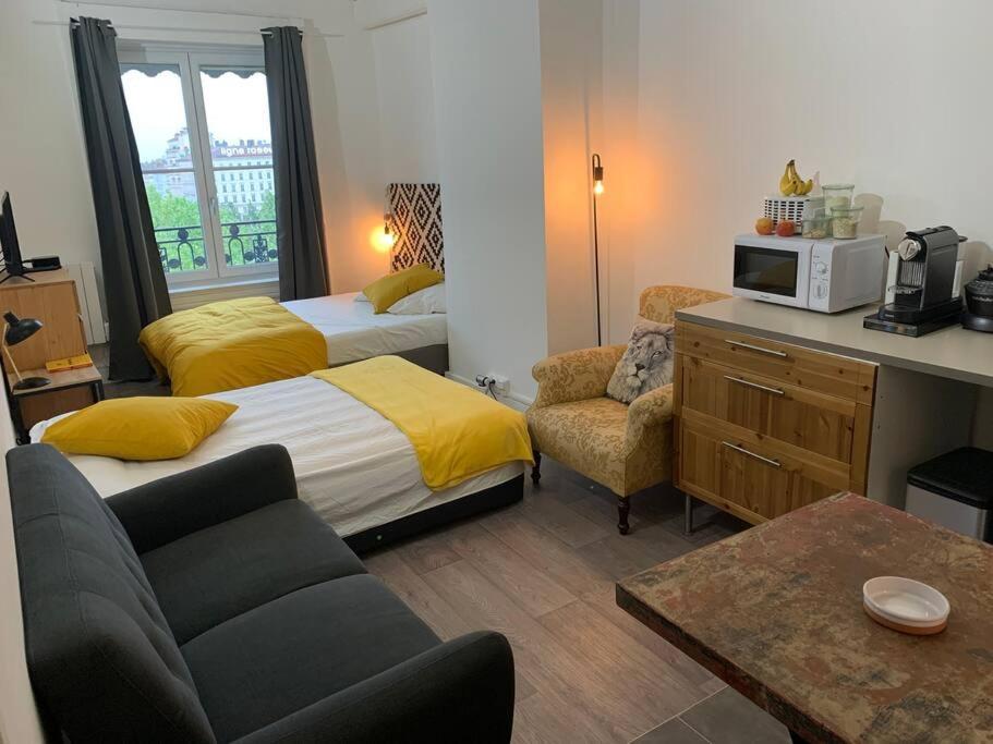 Chez Alam A L'Opera De Lyon Apartment Ngoại thất bức ảnh