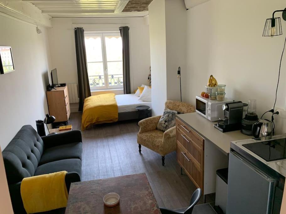 Chez Alam A L'Opera De Lyon Apartment Ngoại thất bức ảnh
